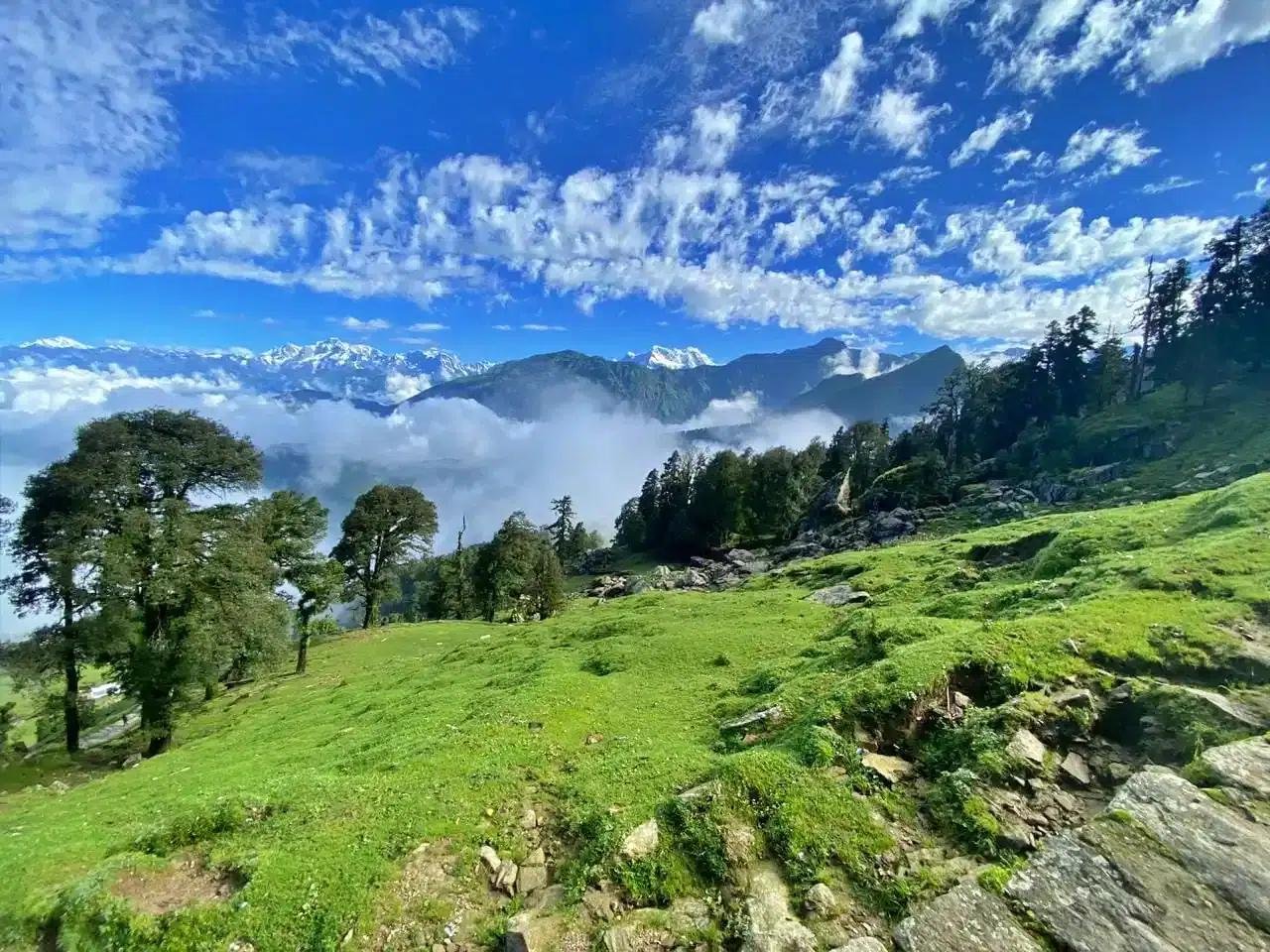 Chopta valley